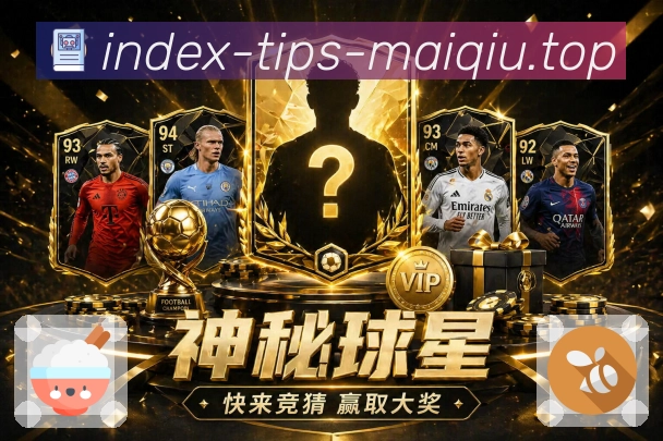 奖项证书